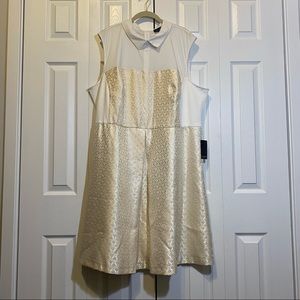 NWT Eloquii A-line dress